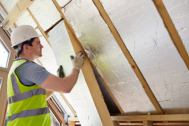 Best Insulation Installation Services in Locust, NC